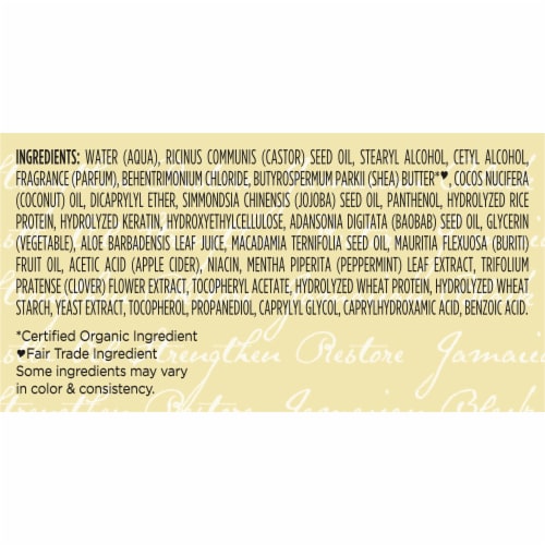 Sheamoisture 100% Pure Jamaican Black Castor Oil Leave In Conditioner Perspective: right