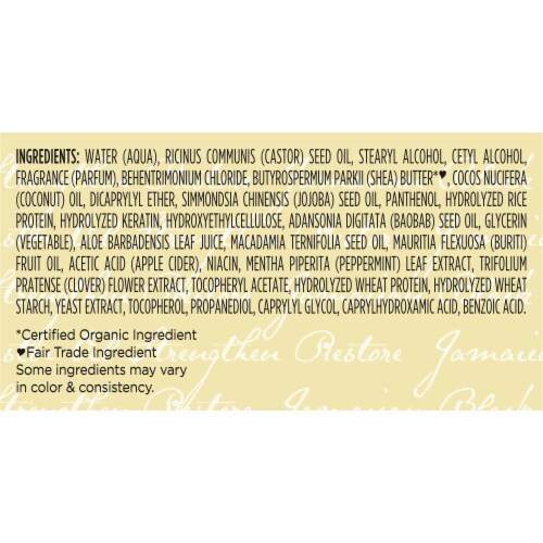 Sheamoisture 100% Pure Jamaican Black Castor Oil Leave In Conditioner Perspective: right