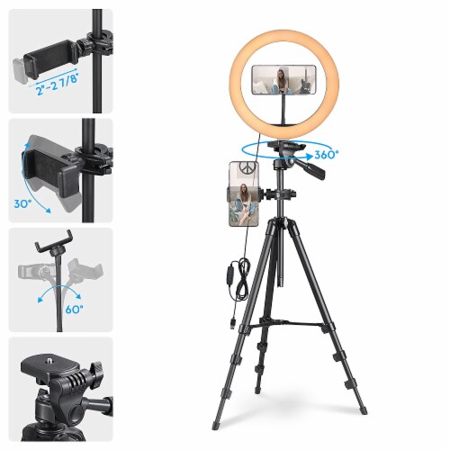 10x8.5 Ft Background Backdrop Stand Kit 12 LED Ring Light Dimmable Photo Video Perspective: right