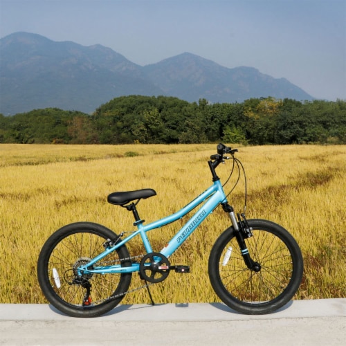 Cyclone mountain bike cheap