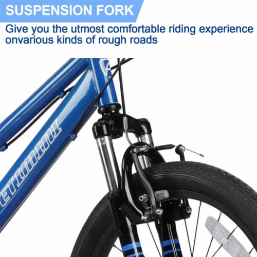 Petimini Cyclone 20 Inch 6 Speed Kids Mountain Bike for 5 9 Year