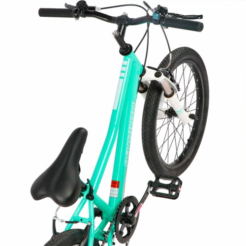 Petimini Cyclone 20 In 6 Speed Kids Mountain Bike for 5 9 Year