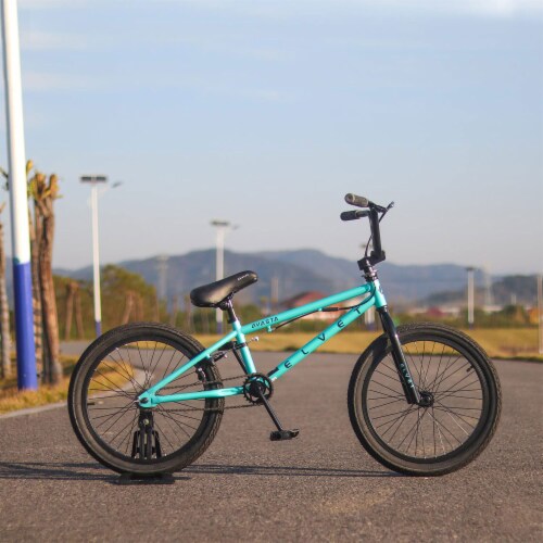 AVASTA 20 Inch Kid Freestyle BMX Bicycle for Beginner Riders, Ages 8 & Up, Mint Perspective: right