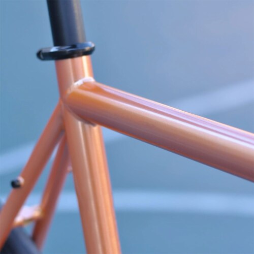 AVASTA 700C 54 In Single Speed Loop Fixed Gear Urban Commuter