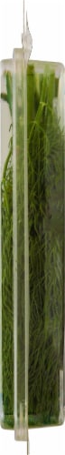 That's Tasty Organic Dill Perspective: right