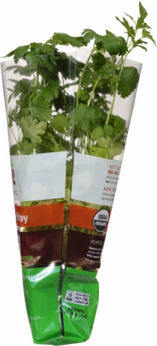 Soli Organic™ Italian Parsley Perspective: right