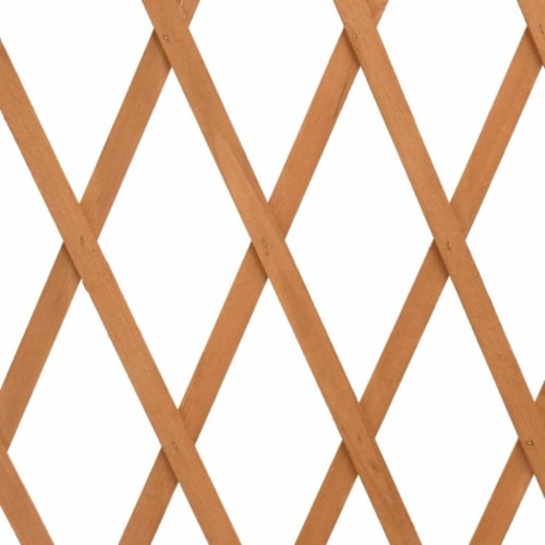Garden Trellis Fence Orange 70.9 x39.4 Solid Firwood Perspective: right