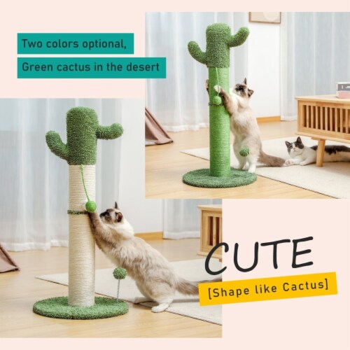 Cactus Cat Tree Cat Scratcher with Sisal Scratching Post and Interactive Dangling Ball For Perspective: right