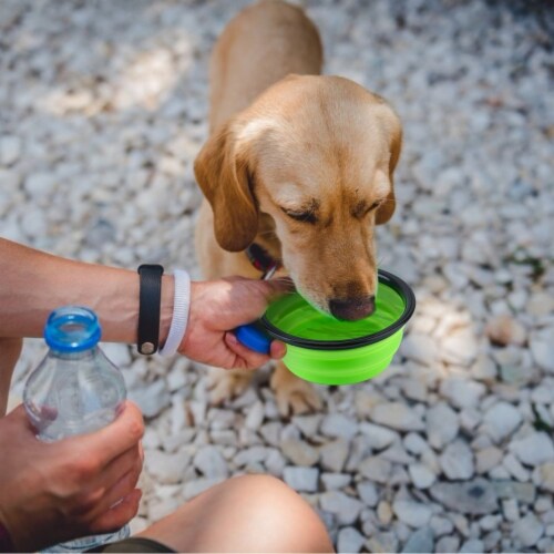 4Pcs Collapsible Dog Bowls BPA Free Travel Dog Bowl Foldable Cat