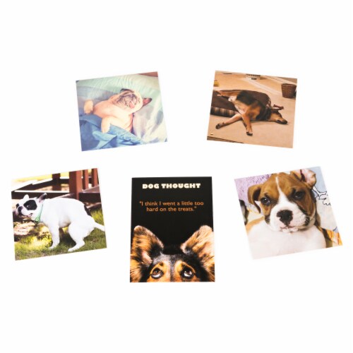 The Dog Game, Hilarious Family Game with Doggos, for Ages 8 and Up Perspective: right