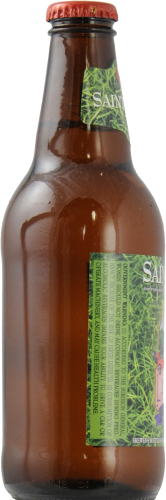 Saint Arnold Fancy Lawnmower Perspective: right