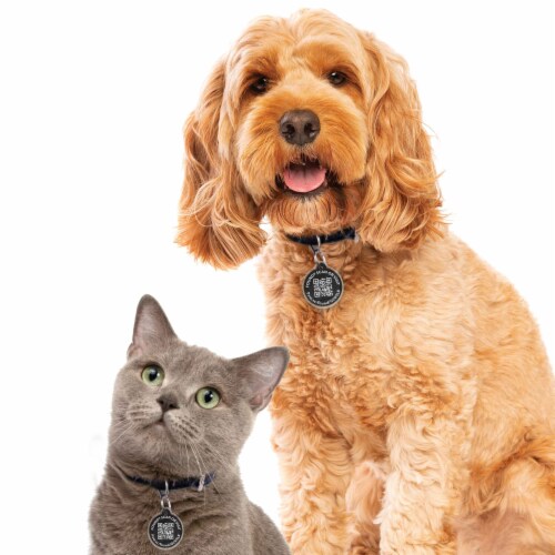 Pawscout for cats shop
