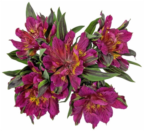 Astronova Floral Arrangement Perspective: right
