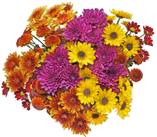 Fresh Picked Poms Fresh Cut Flower Bouquet Perspective: right