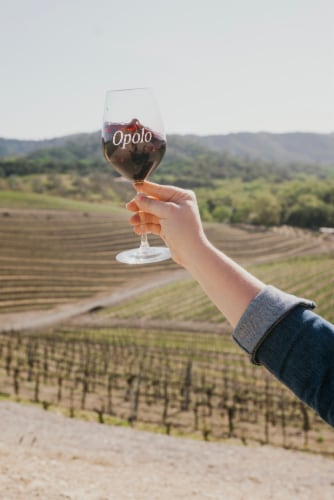Opolo Summit Creek Zinfandel-California Red Wine Perspective: right