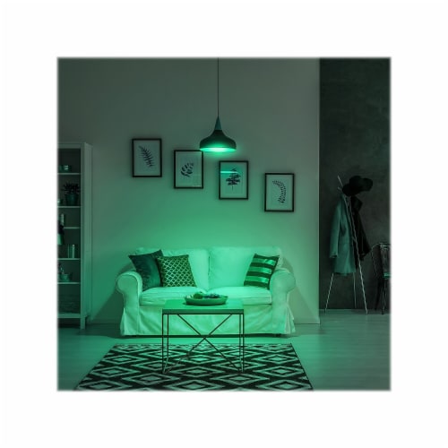 Energizer Connect Smart LED Bulb White and Multi-Color A19 (EAC2-1002-RGB) ENRGA19RGBWHT Perspective: right