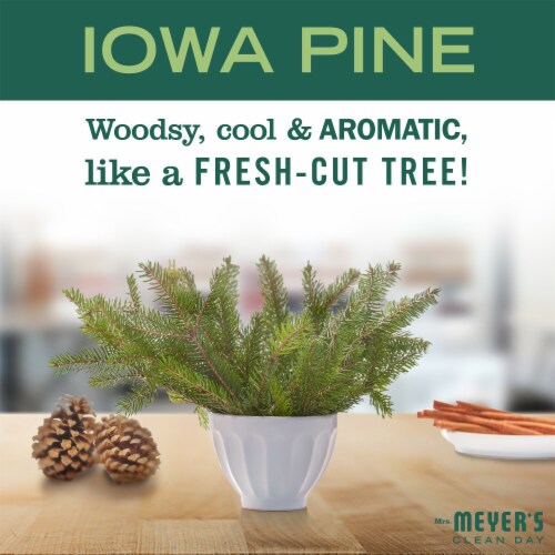 Mrs. Meyer's Clean Day Iowa Pine Liquid Dish Soap Perspective: right