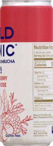 Wild Tonic Raspberry Goji Rose Hard Jun Kombucha Perspective: right