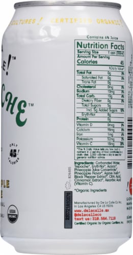 De La Calle!™ Tepache™ Tradicional Pineapple Spice Beverage Perspective: right