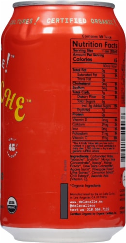 De La Calle!™ Tepache™ Picante Mango Chili Beverage Perspective: right