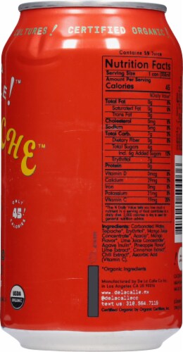 De La Calle!™ Tepache™ Picante Mango Chili Beverage Perspective: right