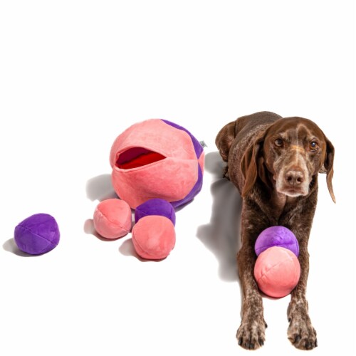 Midlee Hide a Ball Dog Toy - Pink/Purple (Large) Perspective: right