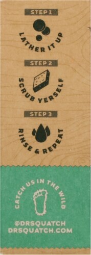 Dr. Squatch® Men's Natural Bar Soap Rainforest Rapids Light Grit Perspective: right