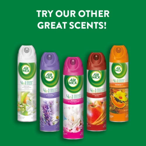 Air Wick Aerosol Spray Air Freshener, Fresh Waters, 8 oz (Pack of 6) Perspective: right