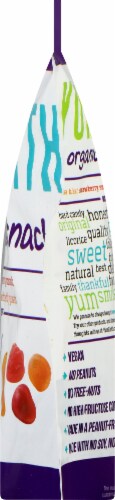 Yum Earth Organics Fruit Snacks Family Share Bag Perspective: right