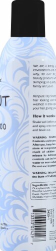 Renpure Flawlessly Fresh Coconut Argan Dry Shampoo Perspective: right