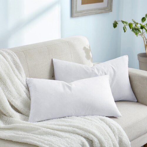 2 Pack Feather Down Throw Pillow Insert 12 20