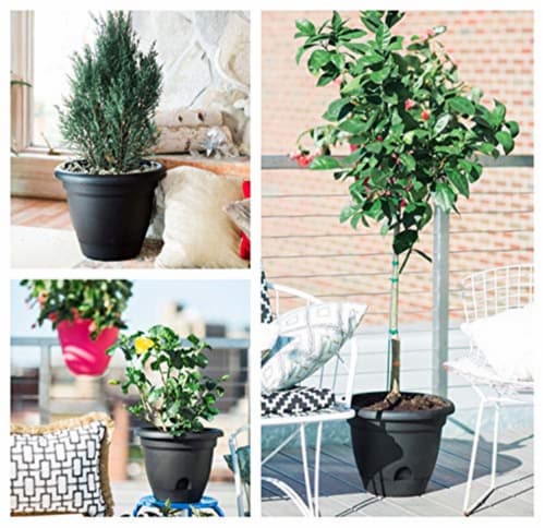 Bloem LP1242 12 in. Lucca Planter, Living Green Perspective: right