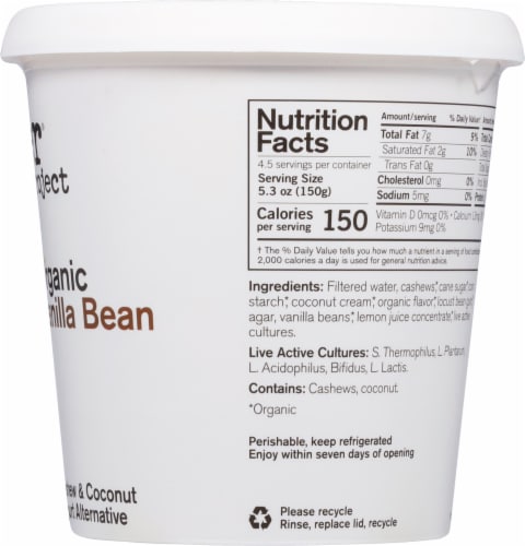 Forager® Project Vanilla Organic Dairy Free Cashew Milk Yogurt Tub Perspective: right