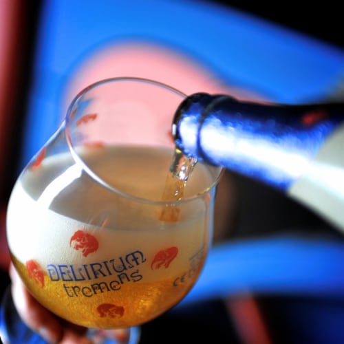 Delirium Tremens Belgian Ale Perspective: right