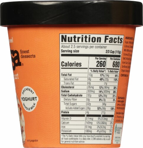 Noosa® Sea Salt Caramel Frozen Yogurt Gelato Perspective: right
