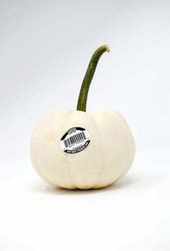 Pumpkin Patch Pals Casper White Ornamental Pumpkin Perspective: right
