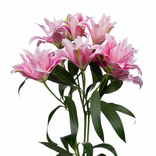 Rose Lily Combination Bouquet Perspective: right