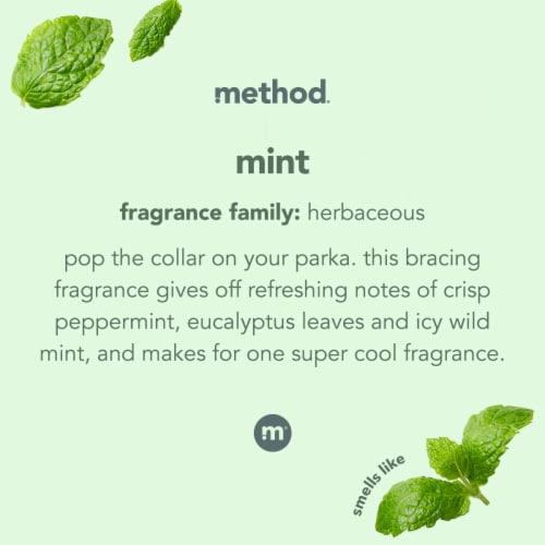 Method Mint Glass Cleaner Cleaner Perspective: right