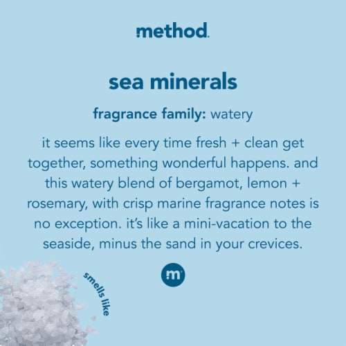 Method Foaming Hand Wash, Sea Minerals - 10 fl oz bottle