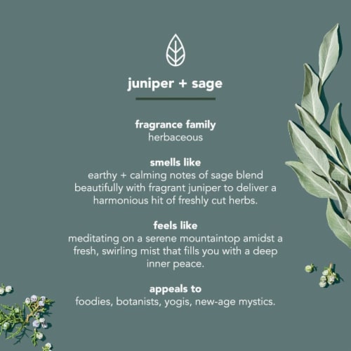 Method Juniper + Sage Men Body Wash Perspective: right