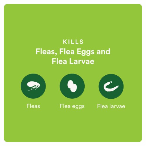 ADVECTA Plus Flea Protection for Small Cats Perspective: right