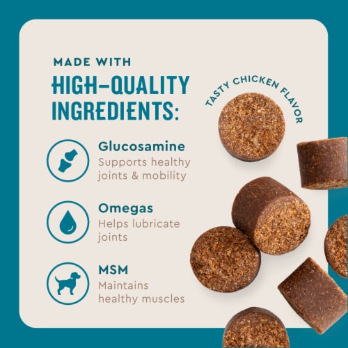 VetIQ Hip & Joint Supplement for Dogs, Chicken Flavored Soft Chews, 7.4 oz Perspective: right