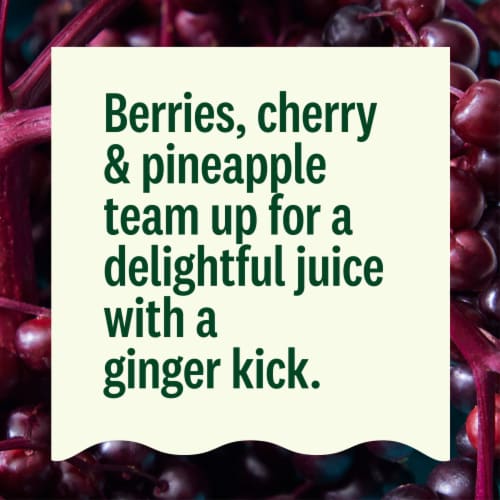 Suja Organic Gut Health Elderberry Ginger Cold Pressed Juice Drink Perspective: right