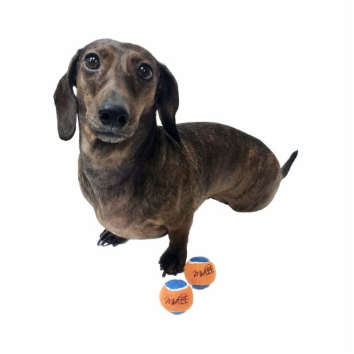 Midlee Squeaky Mini Tennis Ball for Dogs 1.5 - Pack of 12 (Orange/Blue) Perspective: right