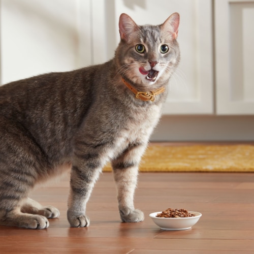 Meow Mix Tenders in Sauce Wet Cat Food Variety Pack With Poultry & Beef Favorites Perspective: right