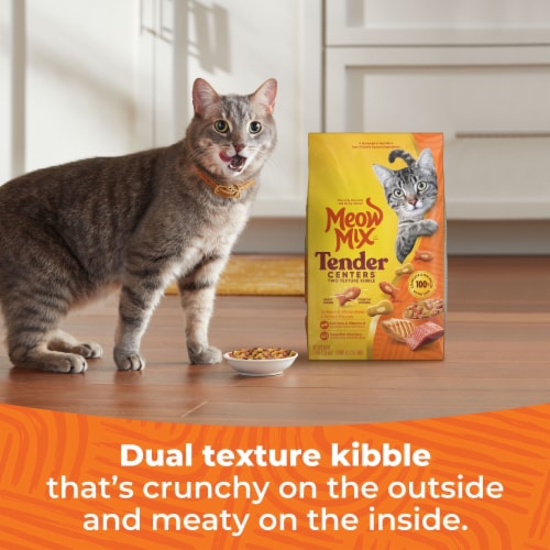Meow MIx® Tender Centers® Salmon & White Meat Chicken Flavor Dry Cat Food Perspective: right