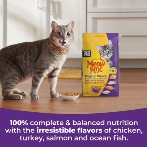 Meow Mix Original Choice Dry Cat Food Perspective: right