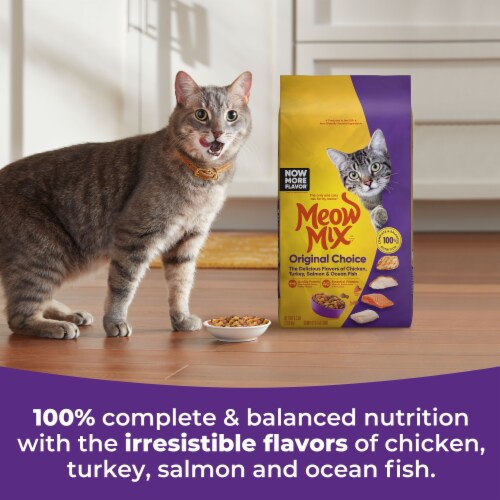 Meow Mix Original Choice Dry Cat Food Perspective: right