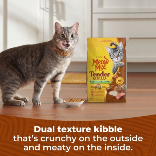 Meow Mix Tender Centers Dry Cat Food With Vitality Bursts Salmon & Turkey Flavors Perspective: right