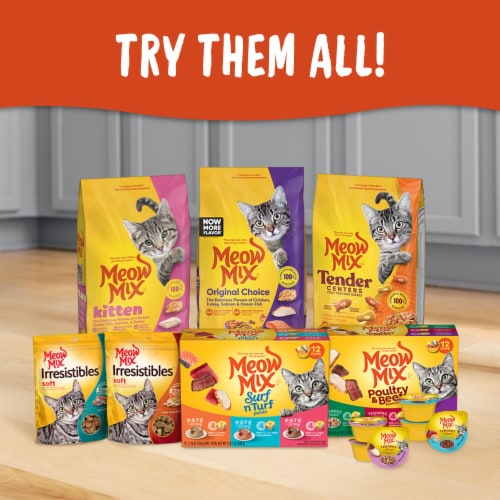 Meow Mix Tender Centers Dry Cat Food With Vitality Bursts Salmon & Turkey Flavors Perspective: right